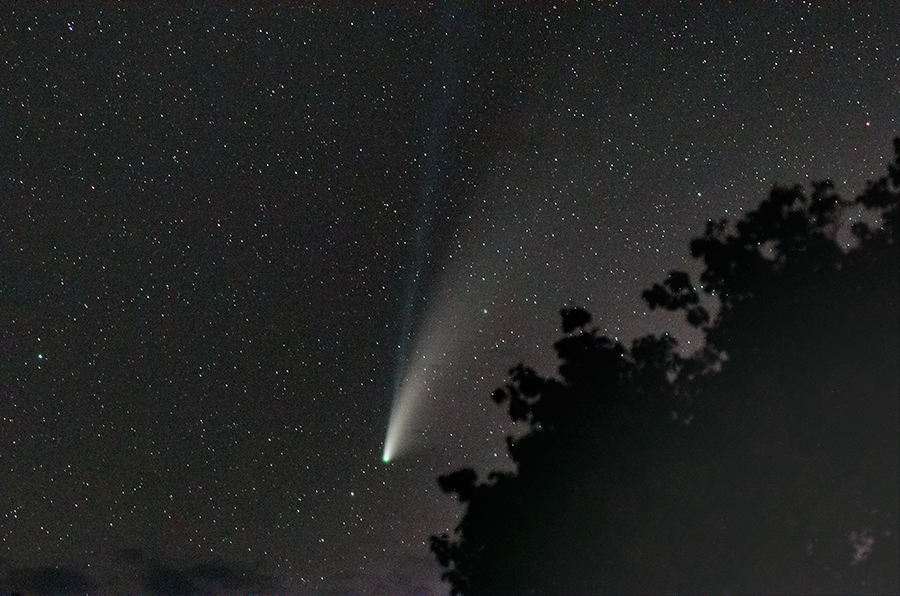 Comet NEOWISE detail